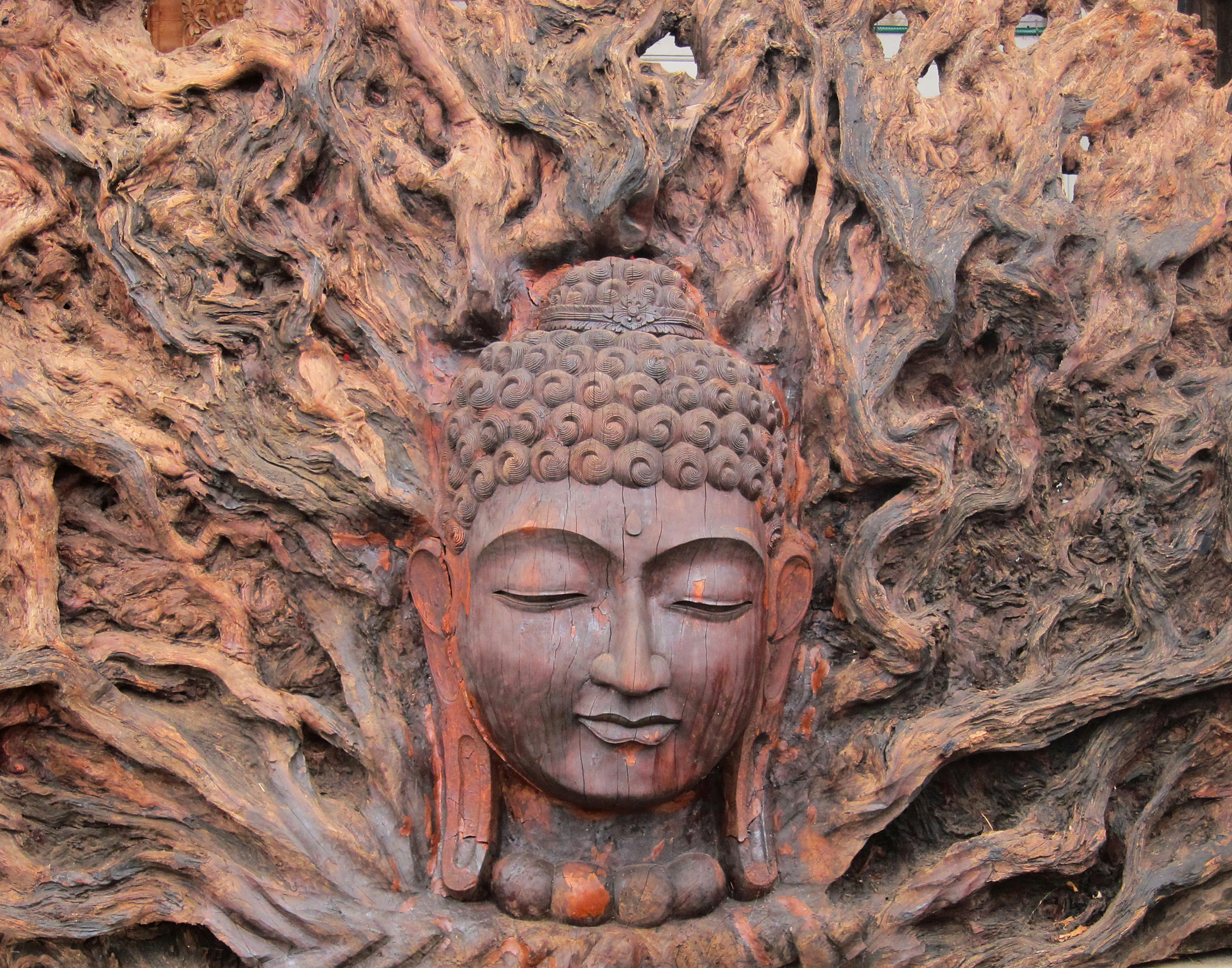 Buddha believed in no-self